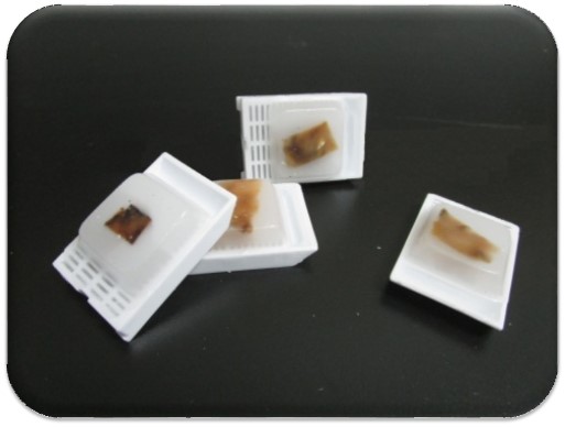 1574412155175740.jpg x_14a5226859.jpg