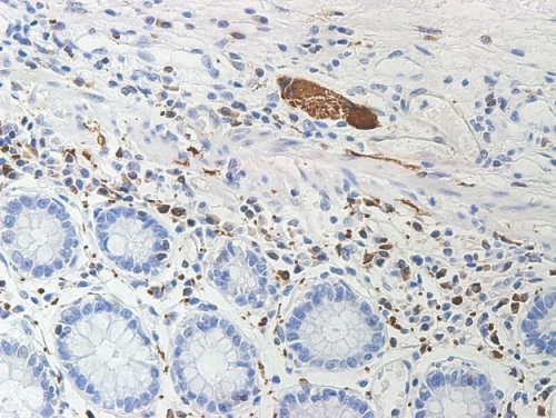 1574412705105100.jpg x_c095226863_m.jpg