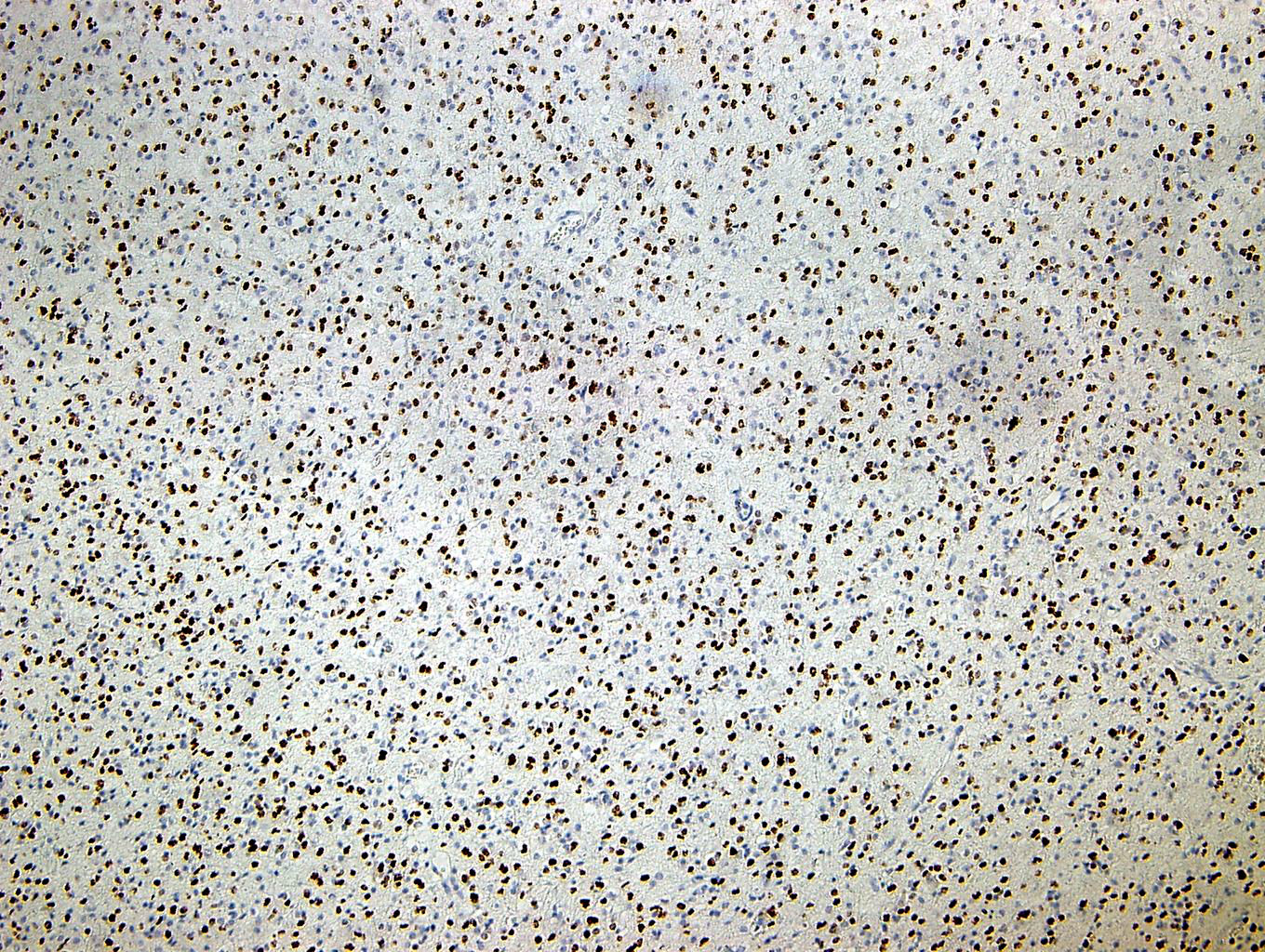 1574412892183993.jpg 1574412892183993.jpg