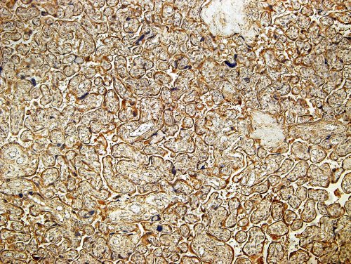 1574412961214366.jpg x_17a5226888_m.jpg