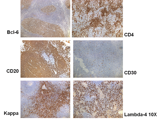 1574413491642475.png x_fce5226846.png