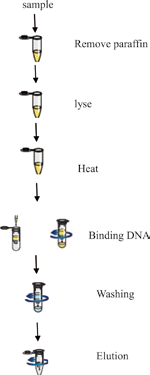 1574761584868479.jpg 1574761584868479.jpg