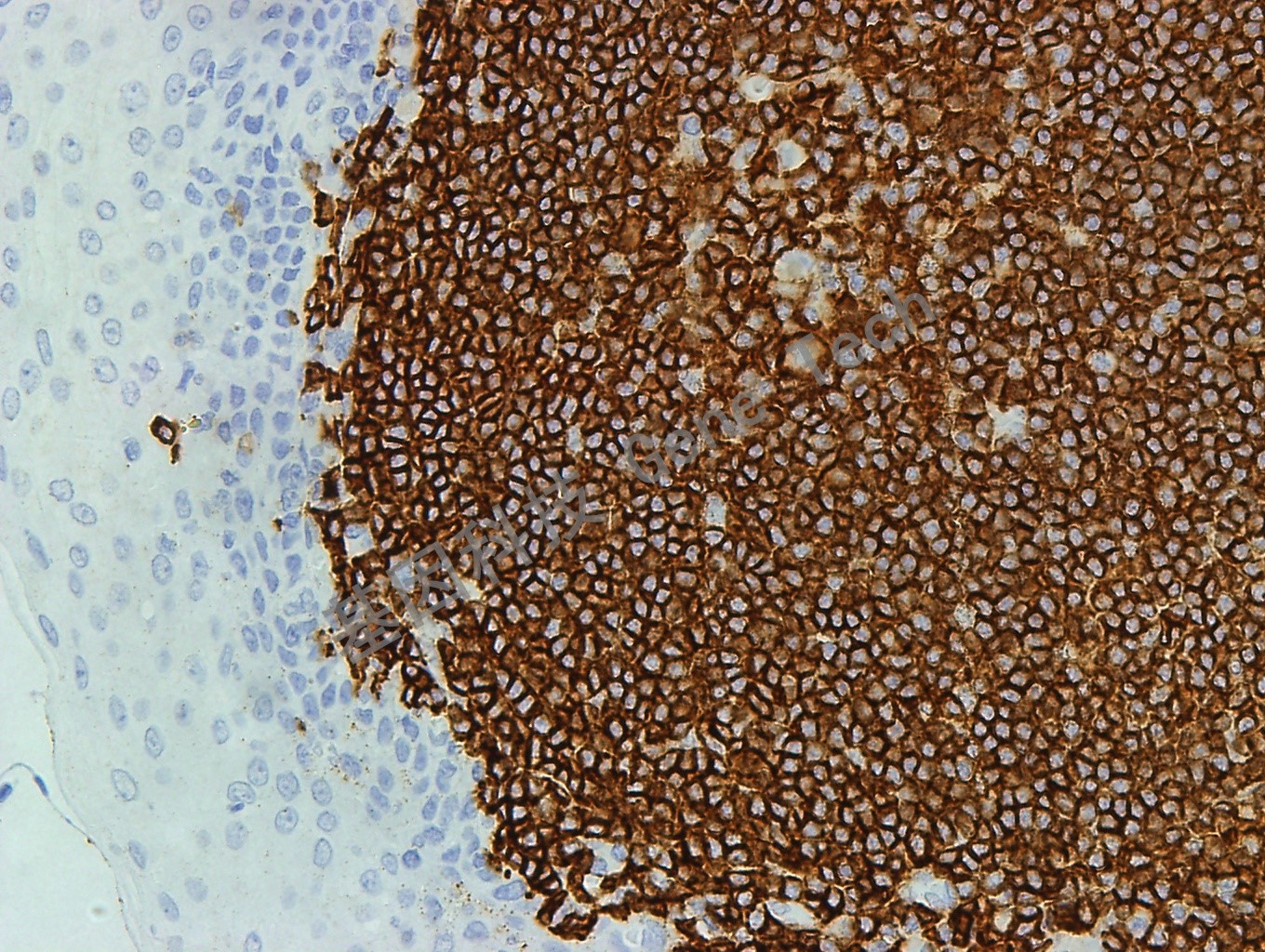 1617023313573495.jpg 1617023313573495.jpg