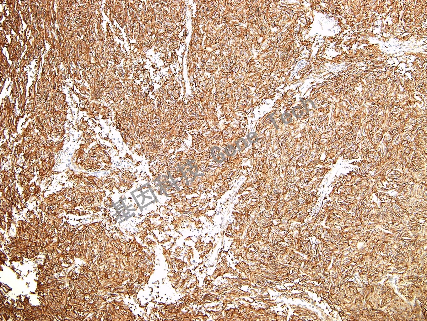 1617879192458171.jpg 1617879192458171.jpg