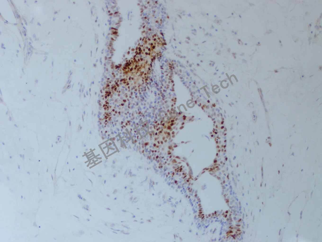 1626751851211439.jpg 1626751851211439.jpg