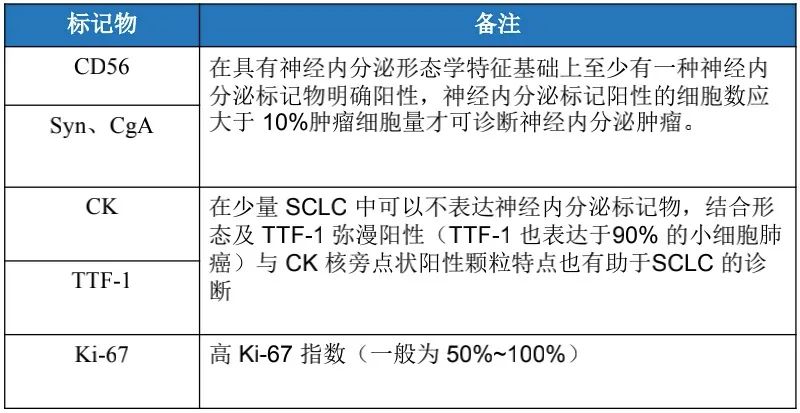 1635745612704344.jpg 肺癌1.jpg