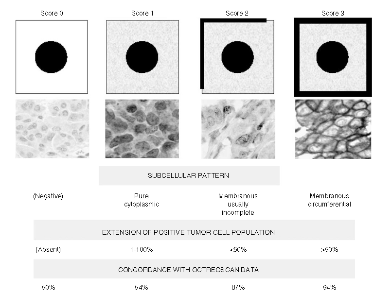 1635747846213323.png 生長抑素1.png