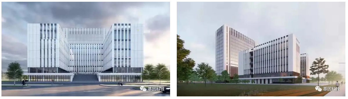 1635749000208979.png 基因科技11.png