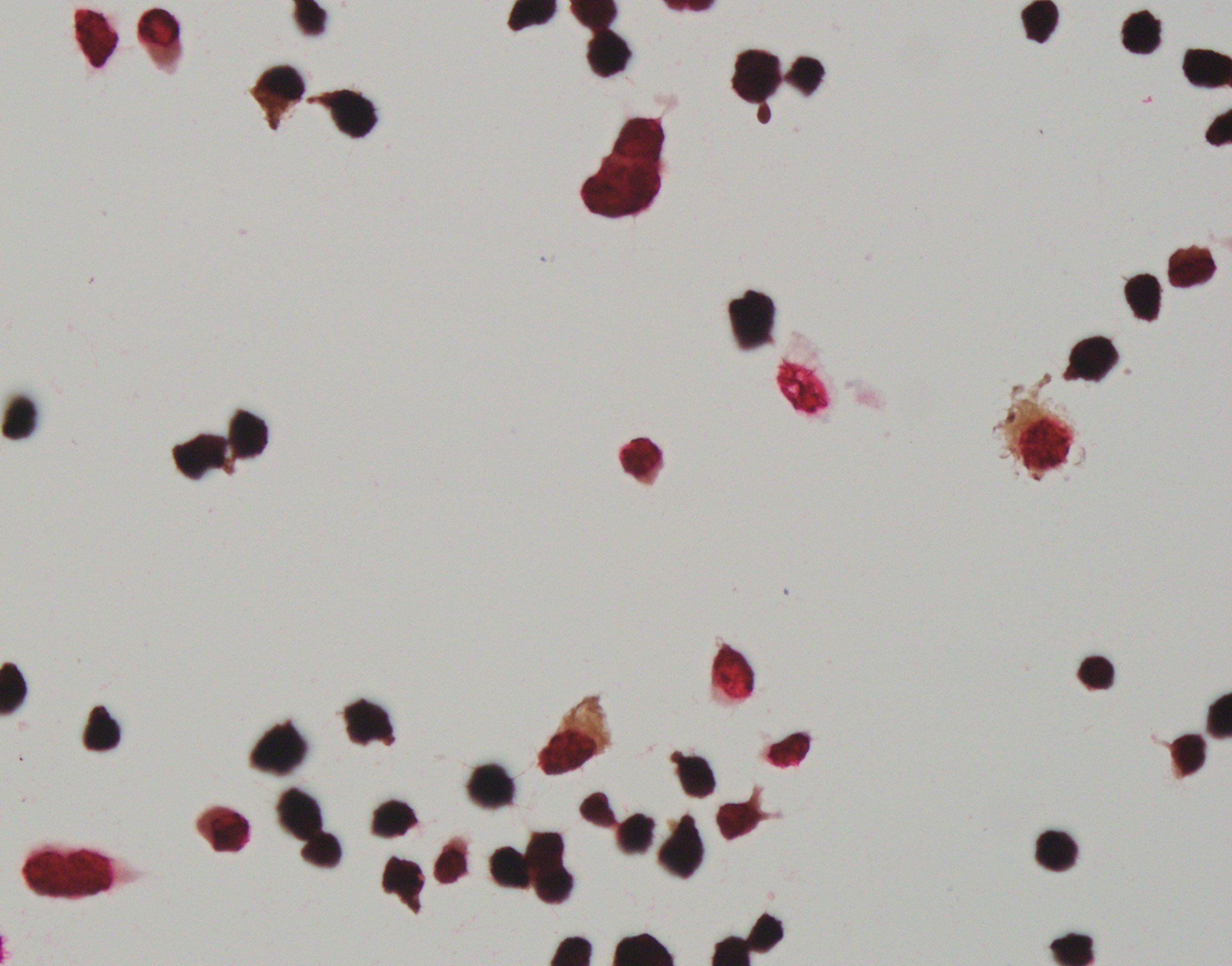 1637576000205063.jpg 1637576000205063.jpg