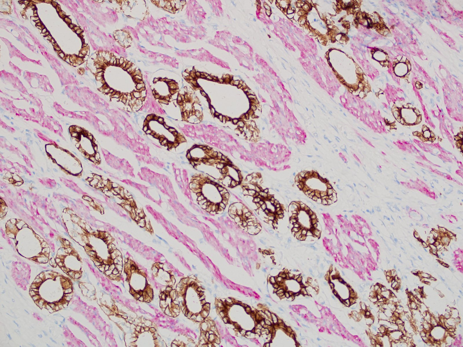 1637578492194874.jpg 1637578492194874.jpg