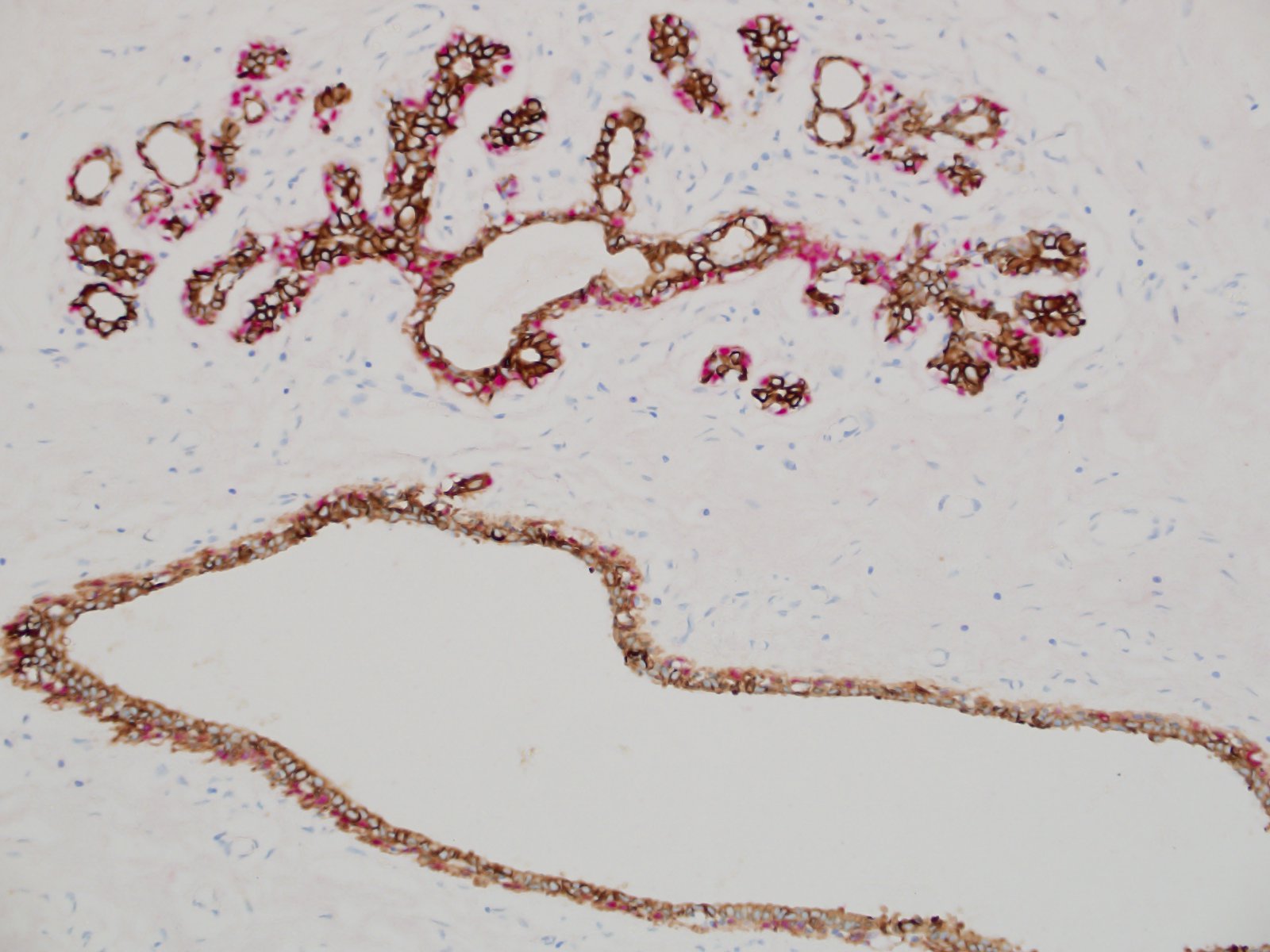 1637583032703155.jpg 1637583032703155.jpg