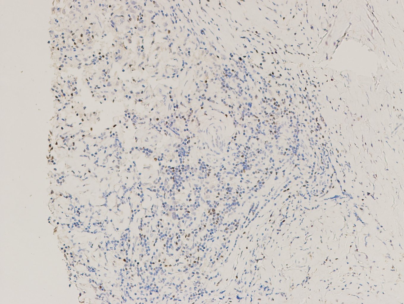 1638430473620501.jpg 1638430473620501.jpg