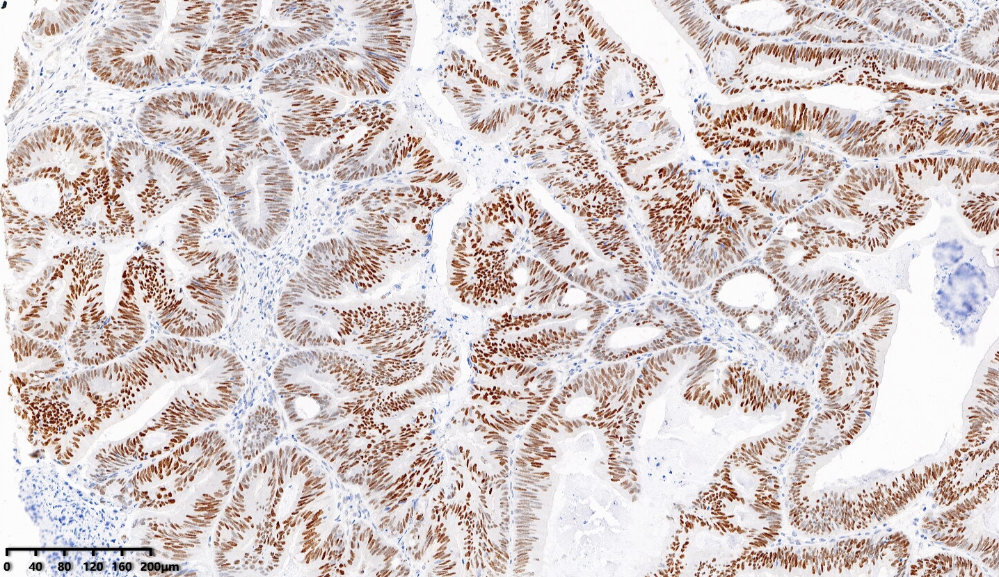 1638431928133426.jpg 1638431928133426.jpg