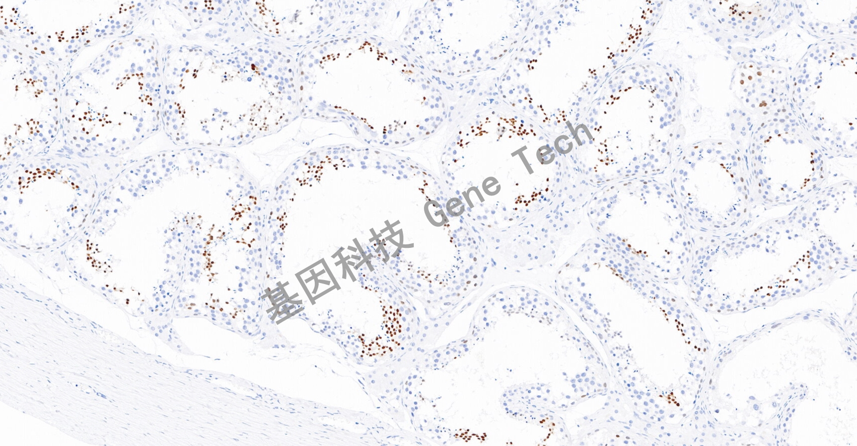 1640850414859709.jpg 1640850414859709.jpg