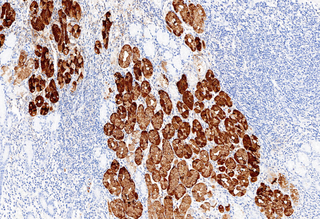 1644455167138938.png 1644455167138938.png