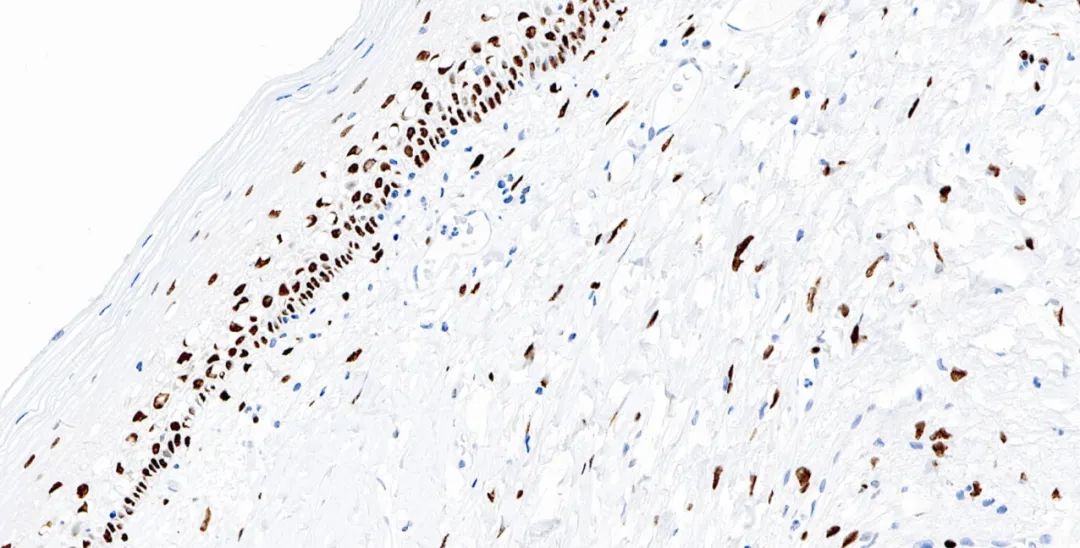 1651130971772478.jpg 640.jpg