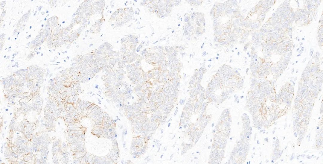 1651131068201041.jpg 640.jpg