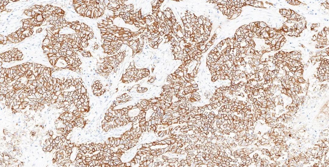 1651131093600957.jpg 640.jpg