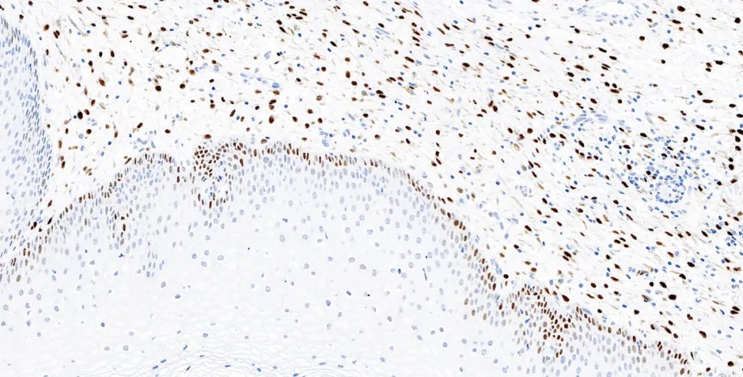 1651131146173005.jpg 640.jpg