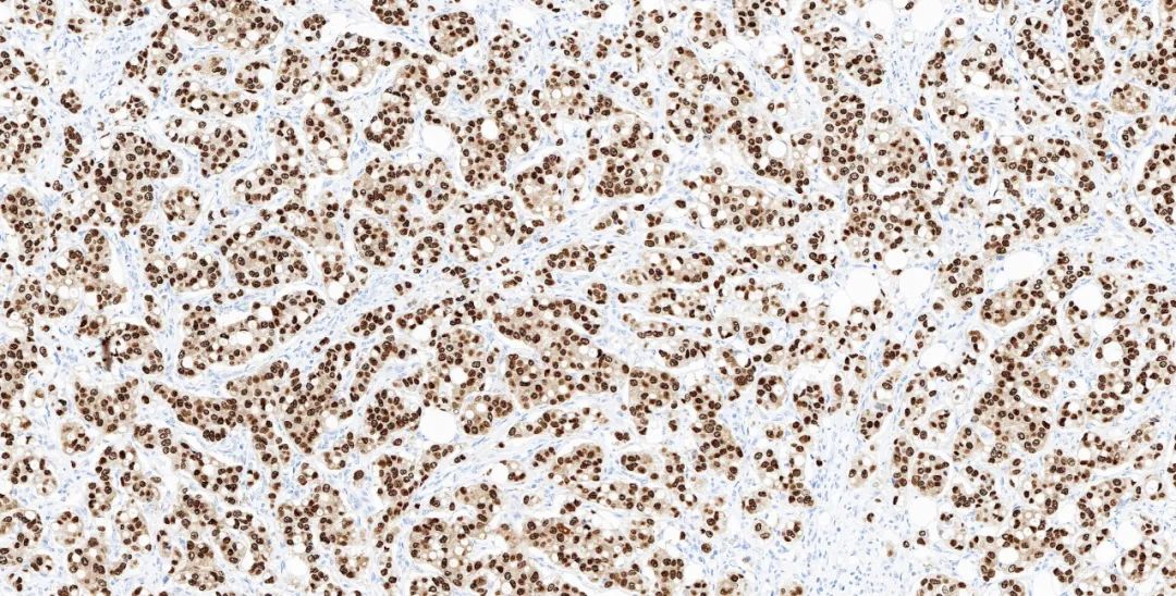 1651131176251853.jpg 640.jpg