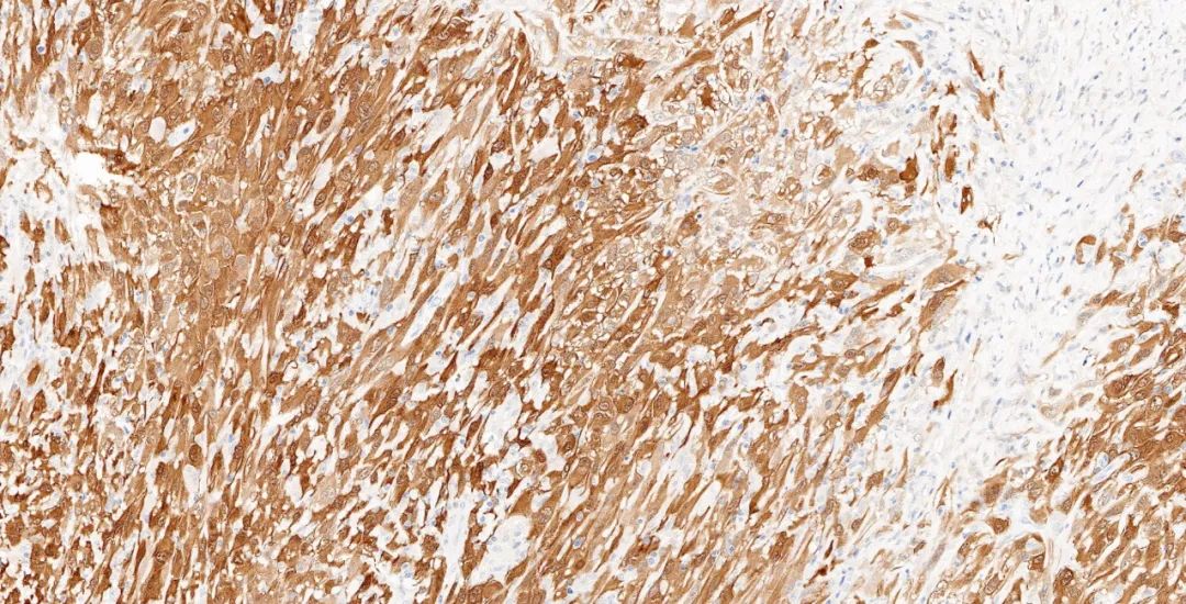 1651131231989980.jpg 640.jpg