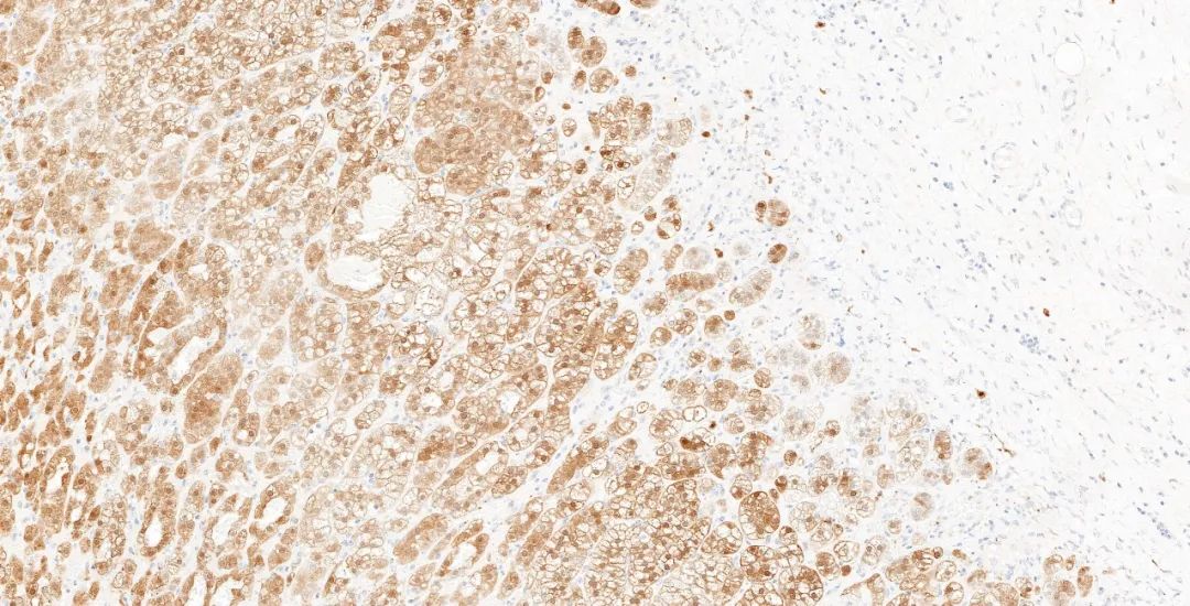 1651131255158877.jpg 640.jpg