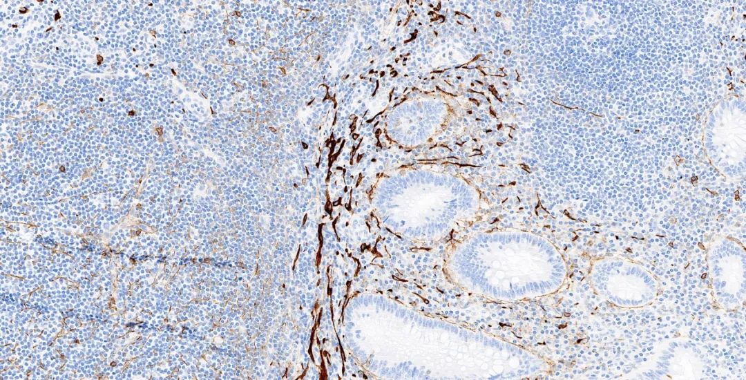 1651131325356429.jpg 640.jpg