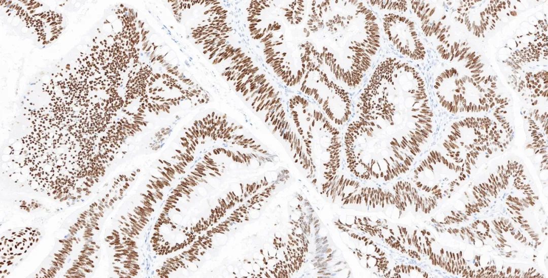 1651131381113716.jpg 640.jpg