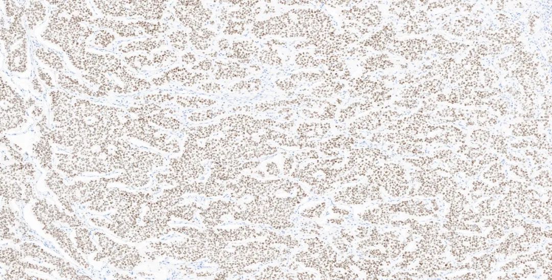 1651131405682537.jpg 640.jpg