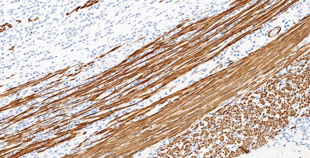 1651131477168507.jpg 640.jpg