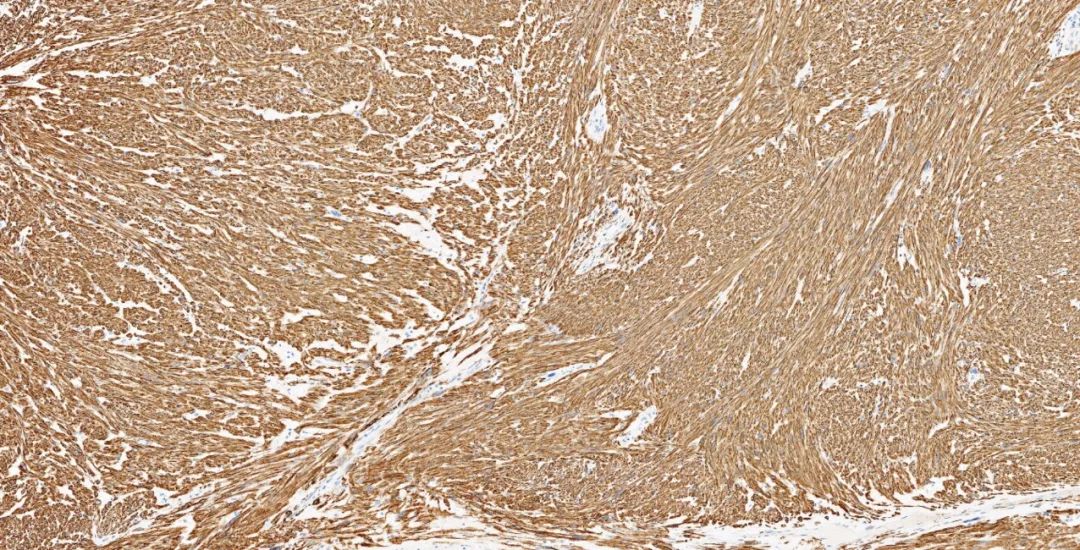 1651131505459054.jpg 640.jpg