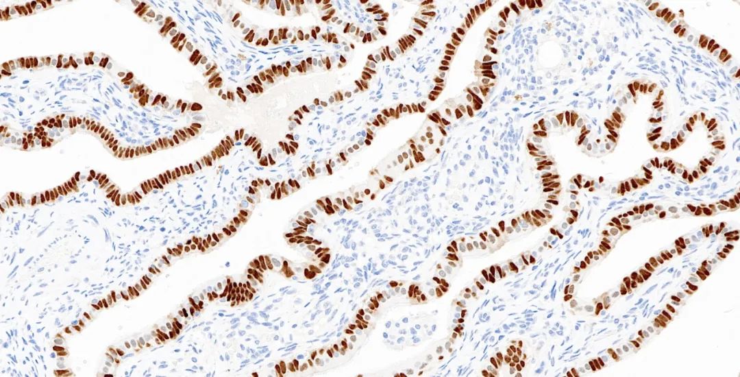 1651131554120862.jpg 640.jpg