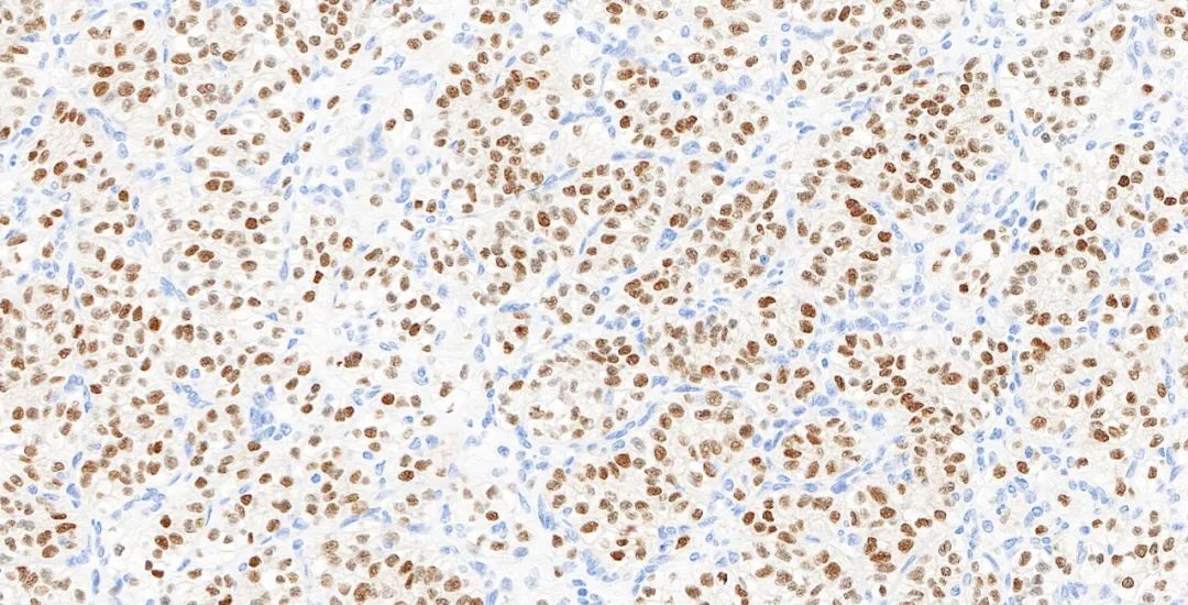 1651131583178987.jpg 640.jpg