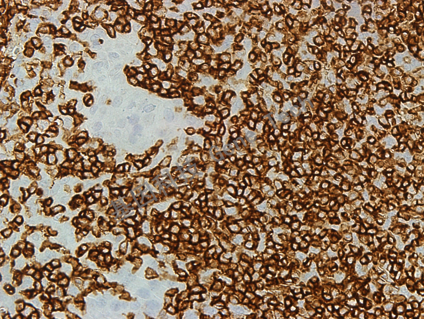 1673579105911388.jpg 1673579105911388.jpg