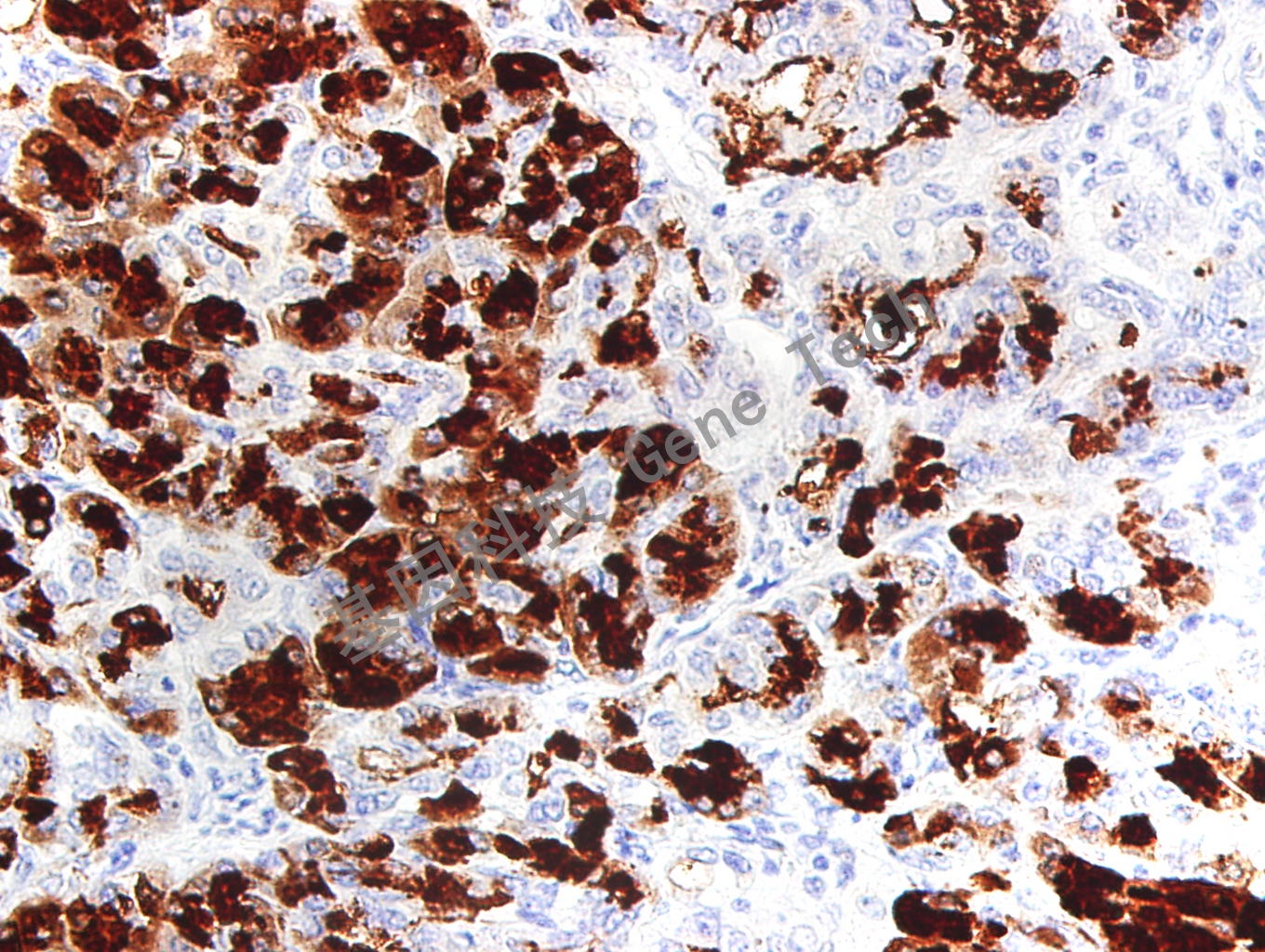 1691140608688086.jpg 1691140608688086.jpg