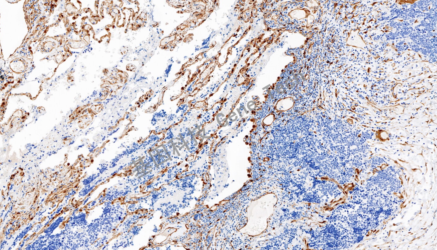 1692955555808044.jpg 1692955555808044.jpg