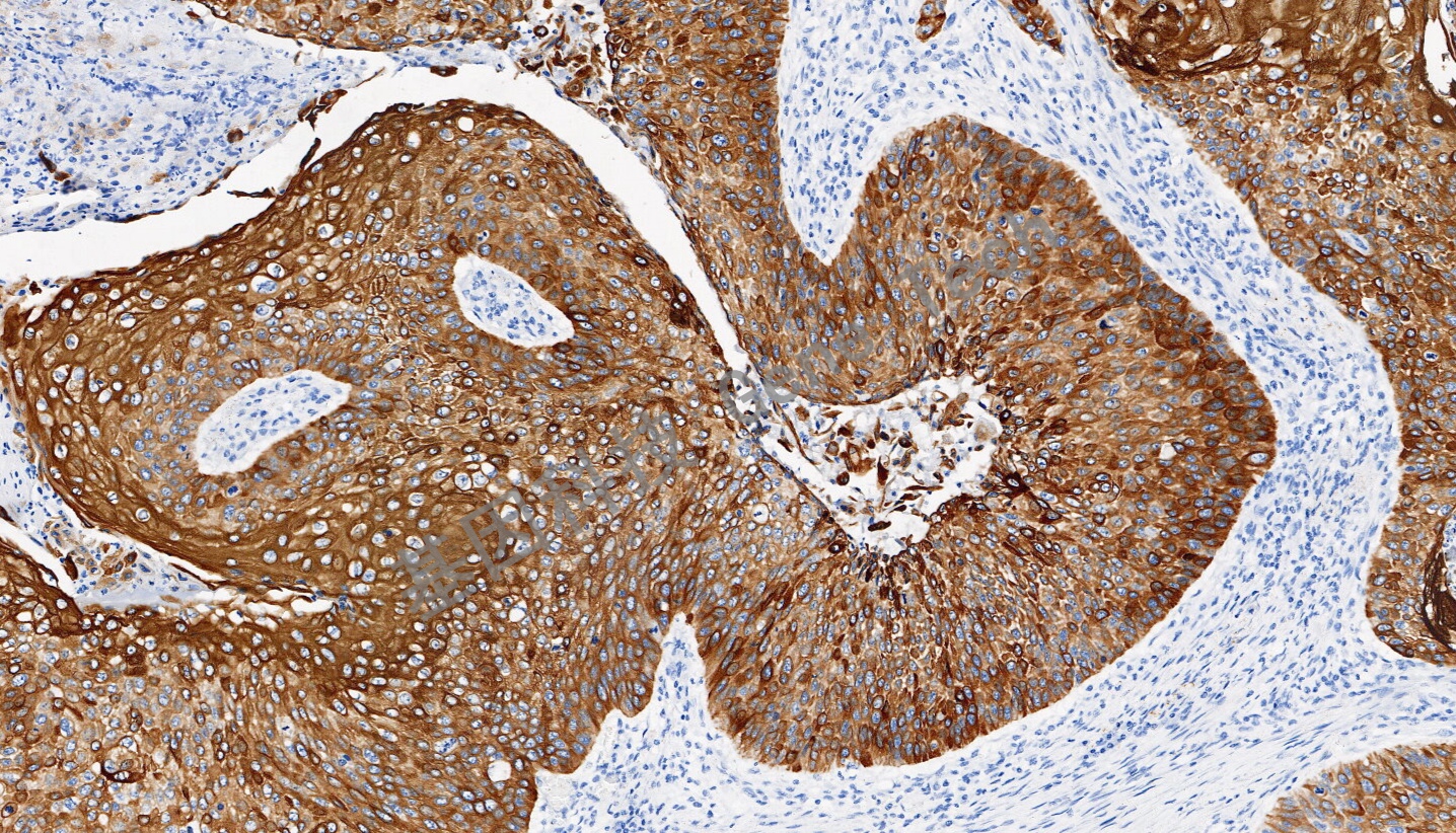 1694752055162043.jpg 1694752055162043.jpg