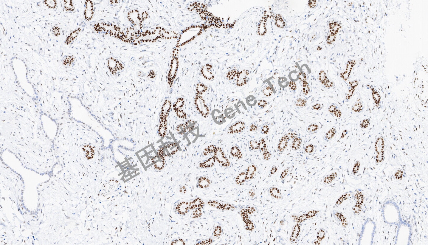 1694753392178949.jpg 1694753392178949.jpg