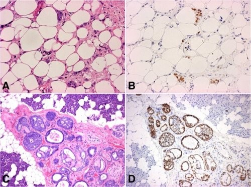 1695127031104403.jpg 圖片2.jpg