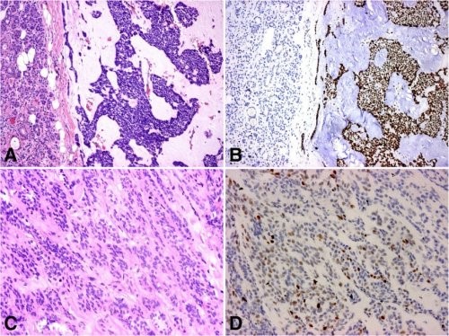 1695127043215107.jpg 圖片3.jpg