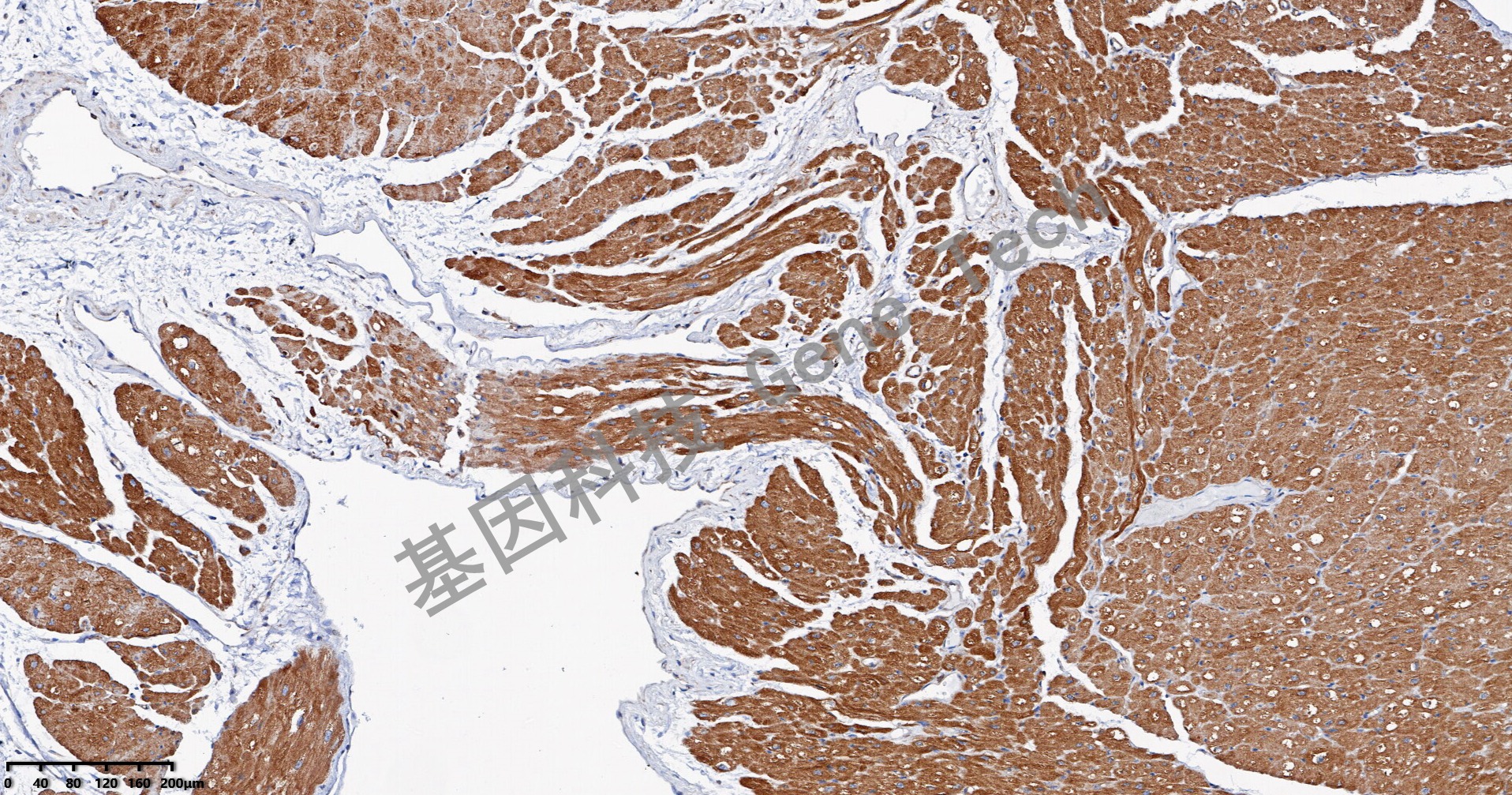 1702361590341972.jpg 1702361590341972.jpg