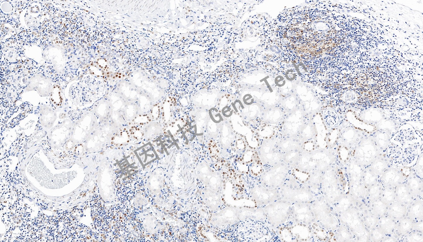 1708483923197229.jpg 1708483923197229.jpg