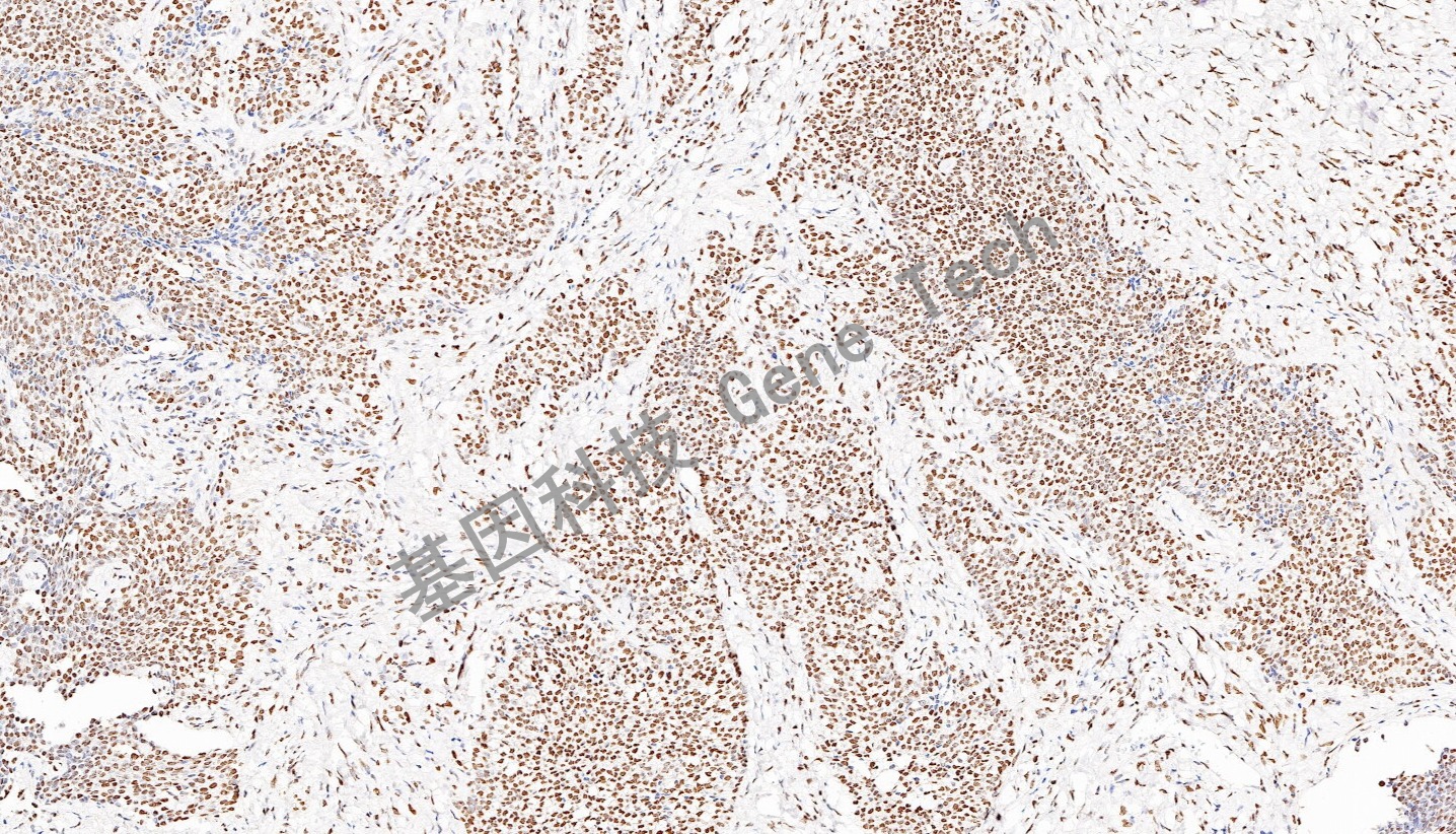 1708485471158026.jpg 1708485471158026.jpg