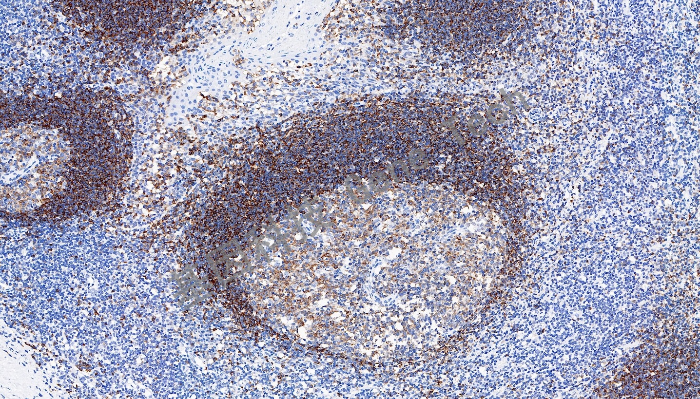 1708488269834642.jpg 1708488269834642.jpg