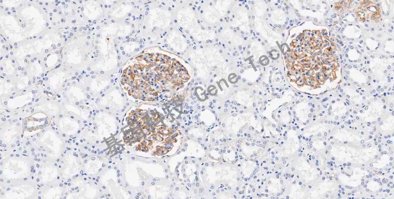 1711970604141073.jpg 1711970604141073.jpg