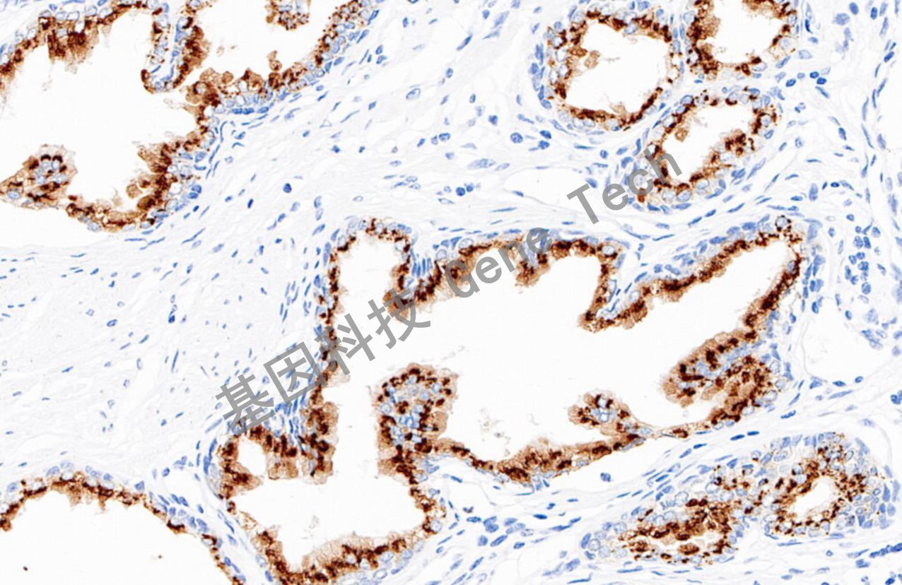 1716363434788786.jpg 1716363434788786.jpg