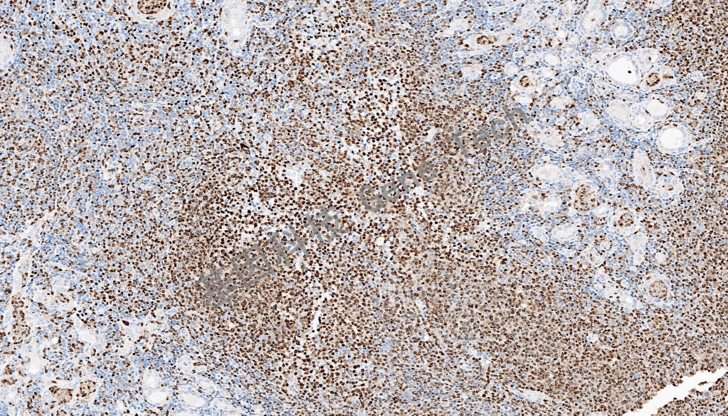 1716366694495016.jpg 1716366694495016.jpg