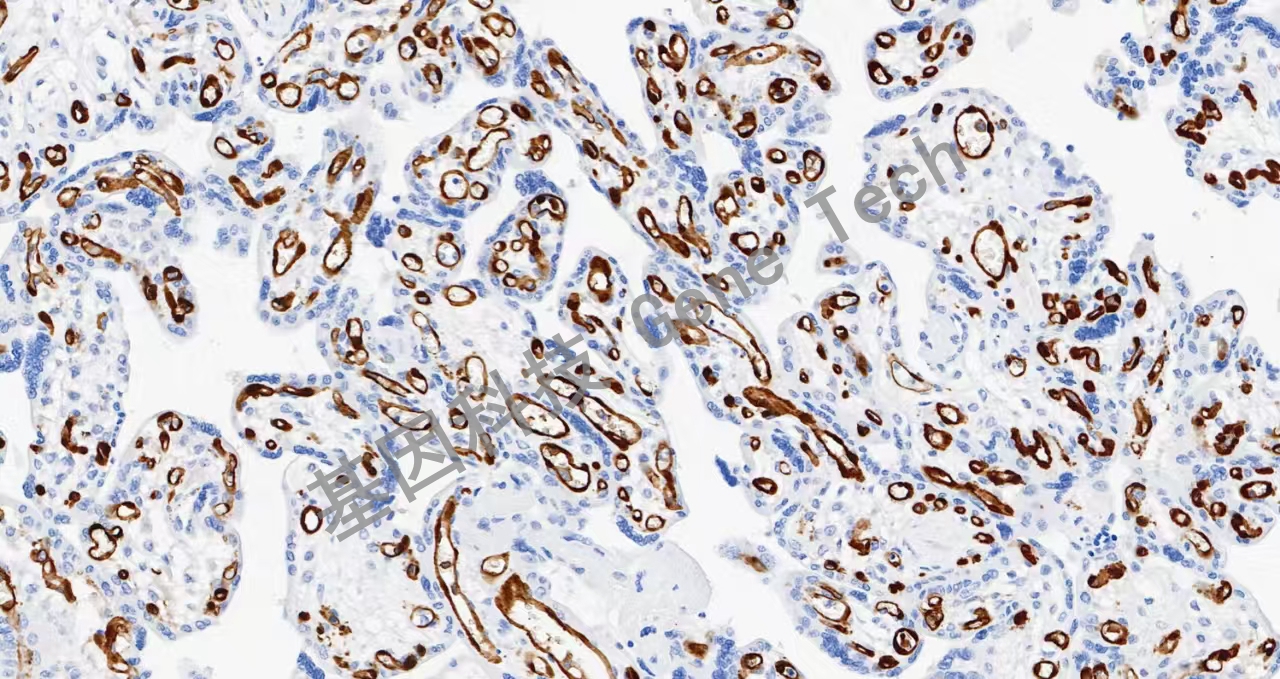 1724471617203603.jpg 1724471617203603.jpg