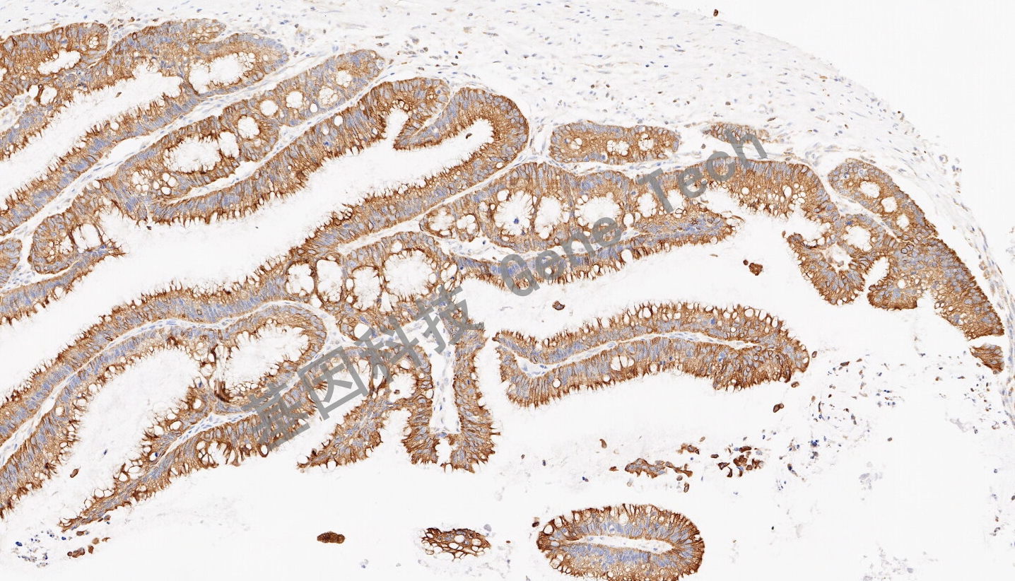 1724681693536399.jpg 1724681693536399.jpg